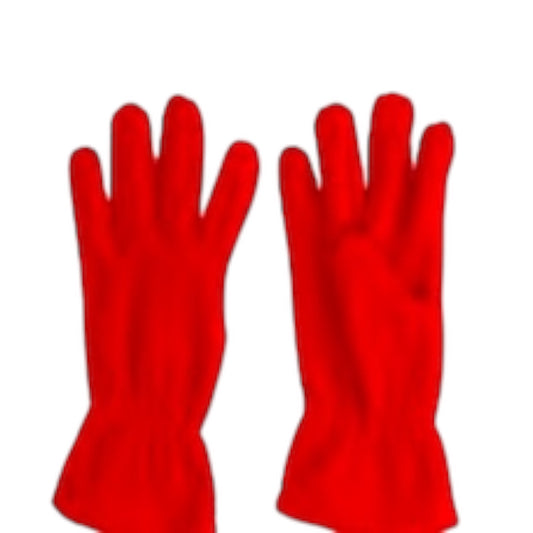 Winter Gloves