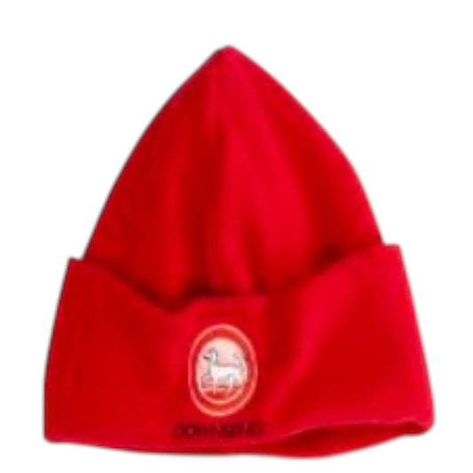 Winter Hat